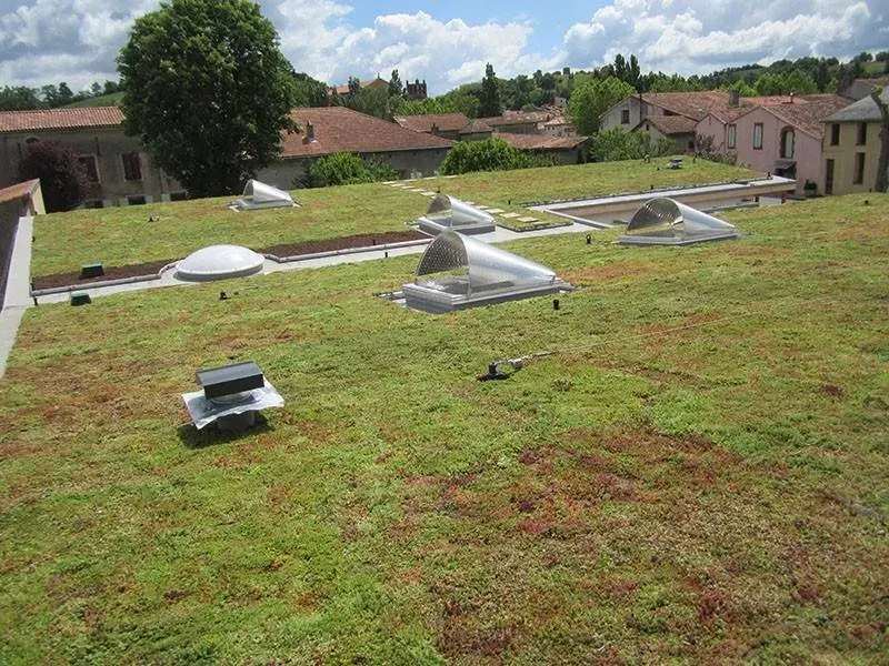 toitures végétalisees (6)